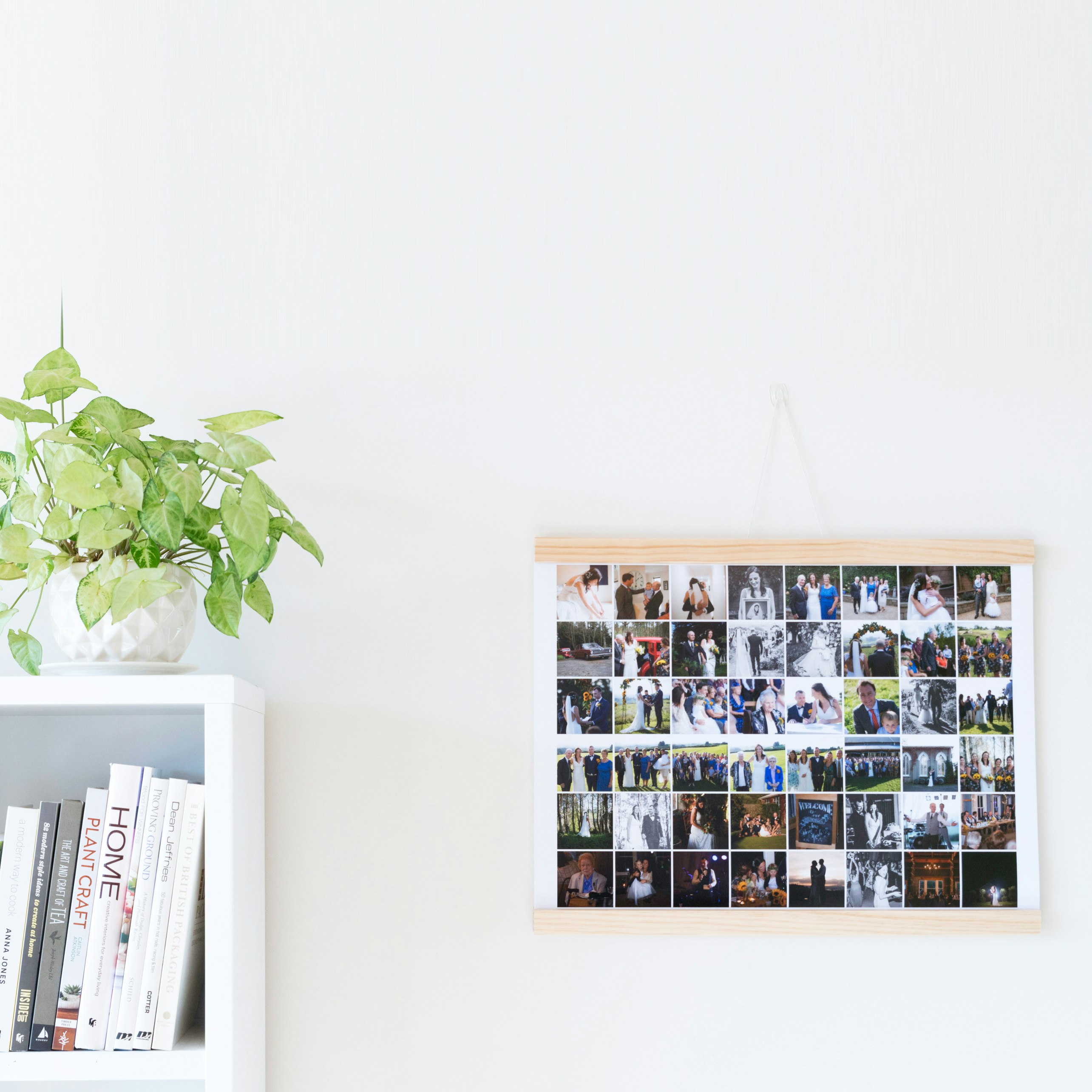 HappyMoose 4.0 Release