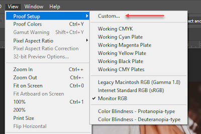 soft proofing guide pixel v ink
