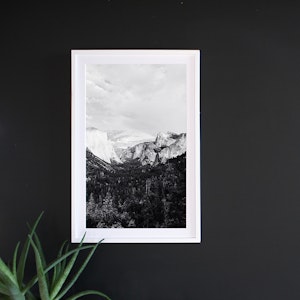 Fine Art Frames - HappyMoose