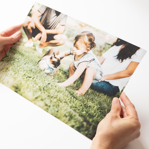 An edge-to-edge image print makes for easy framing.