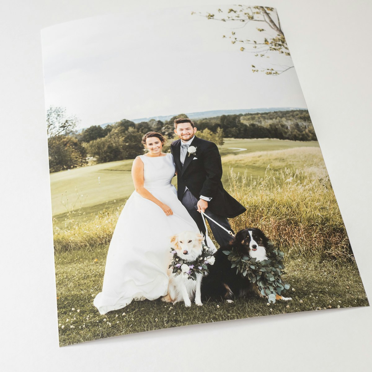 Choose the finish you prefer with our selection of 5 photo paper options. - Large format prints - HappyMoose