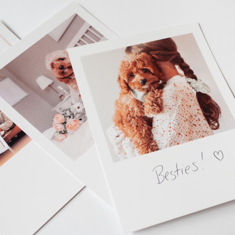 Retro photo prints HappyMoose Creative and fun photo print